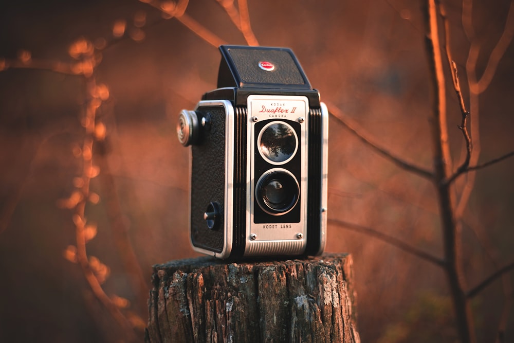 gray and black folding camera on brown tree stamp