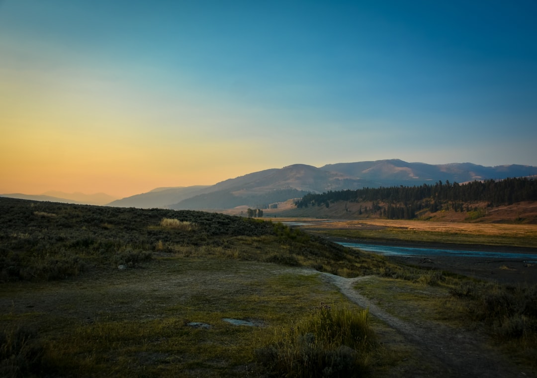 travelers stories about Hill in Hayden Valley, United States