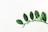 green leafed plant clip art