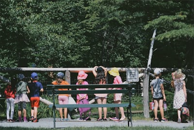 children standing beside fence during daytime