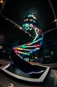 A large, illuminated DNA helix model is displayed in a darkened room, possibly an exhibit or a museum. The DNA model features colorful base pairs represented by differently colored bars with letters A, T, C, and G. The background includes informational posters and mounted lighting.