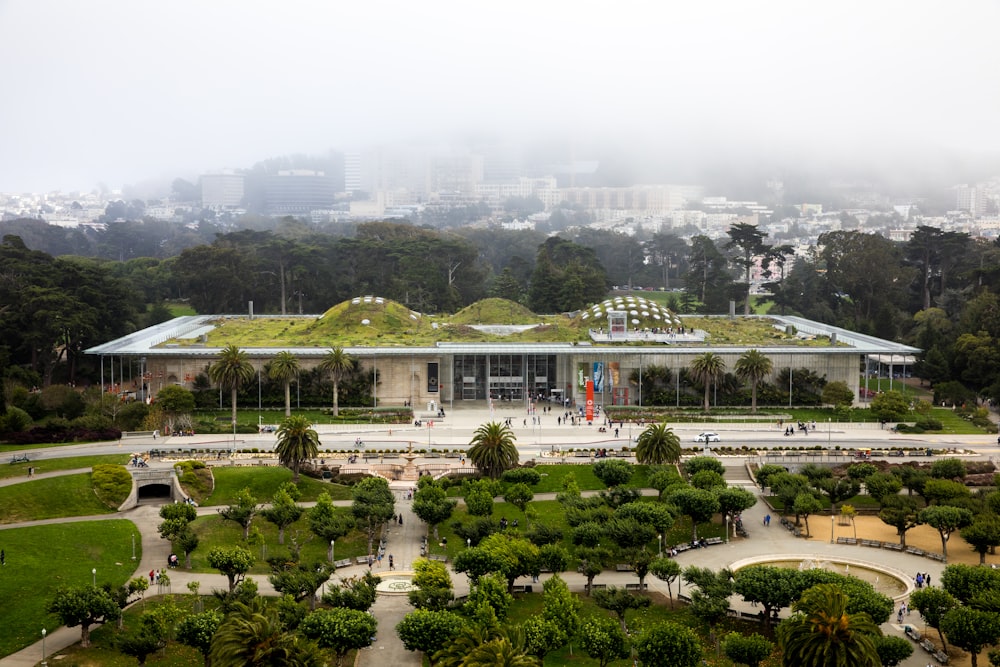 white building surrounded by trees