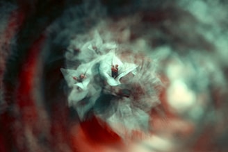 A dreamy, abstract composition featuring blurred, layered flowers with soft petals. The central focus is on delicate, light-colored flowers with subtle hints of pink and a swirling, almost ethereal background.