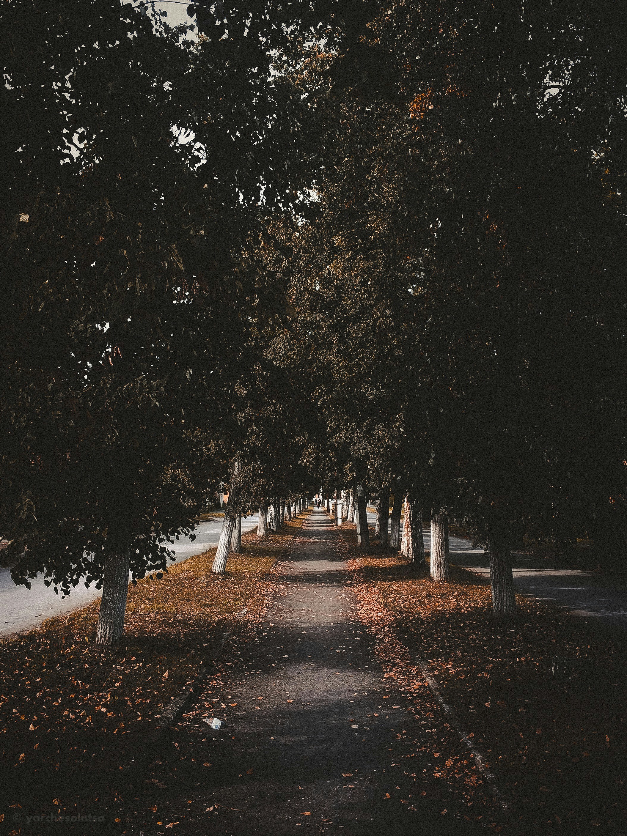 Photo by yarchesolntsa