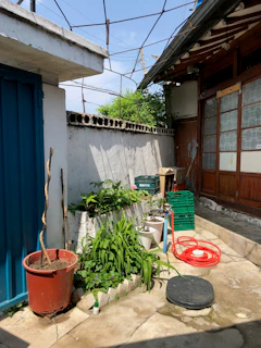 Compact low-pressure irrigation system installed neatly along a small inner courtyard with lush green plants.