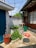 A small courtyard with potted plants, a red pot with soil, green foliage, and various containers. A red hose is coiled on the ground near a blue pole. The area is bordered by a wall with a blue door and a traditional-style building with wooden windows. Overhead wires crisscross above.
