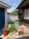 A small courtyard with potted plants, a red pot with soil, green foliage, and various containers. A red hose is coiled on the ground near a blue pole. The area is bordered by a wall with a blue door and a traditional-style building with wooden windows. Overhead wires crisscross above.