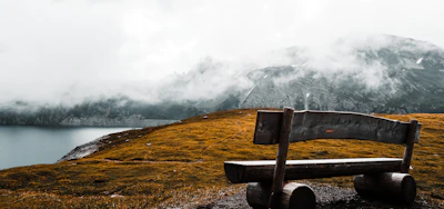 An elegant wooden bench overlooking a peaceful, misty forest landscape.