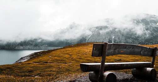 brown wooden bench on cliff