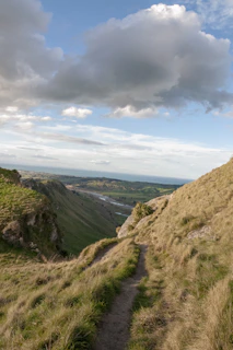 A scenic gravel route winding through rolling hills and wildflowers under clear blue sky