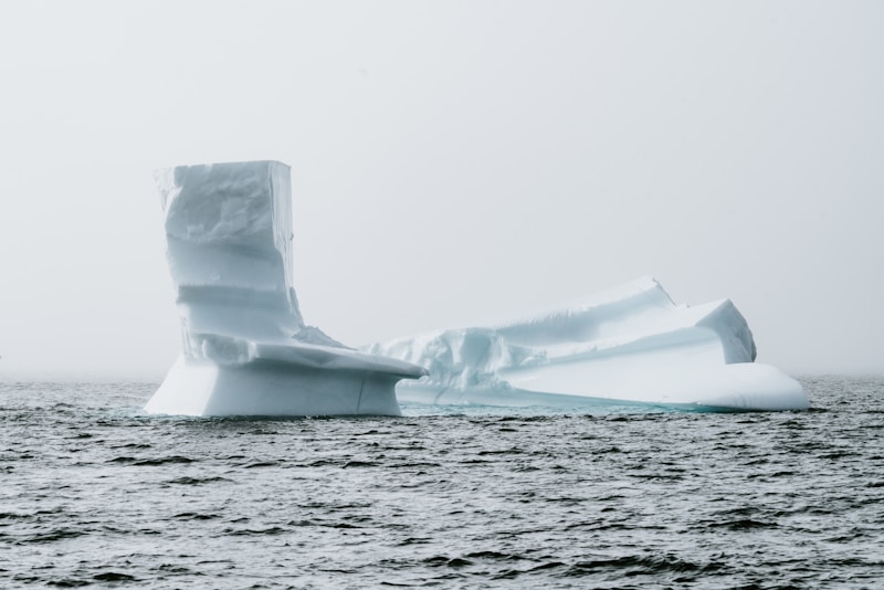 Arctic