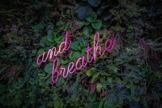 purple neon sign on plants