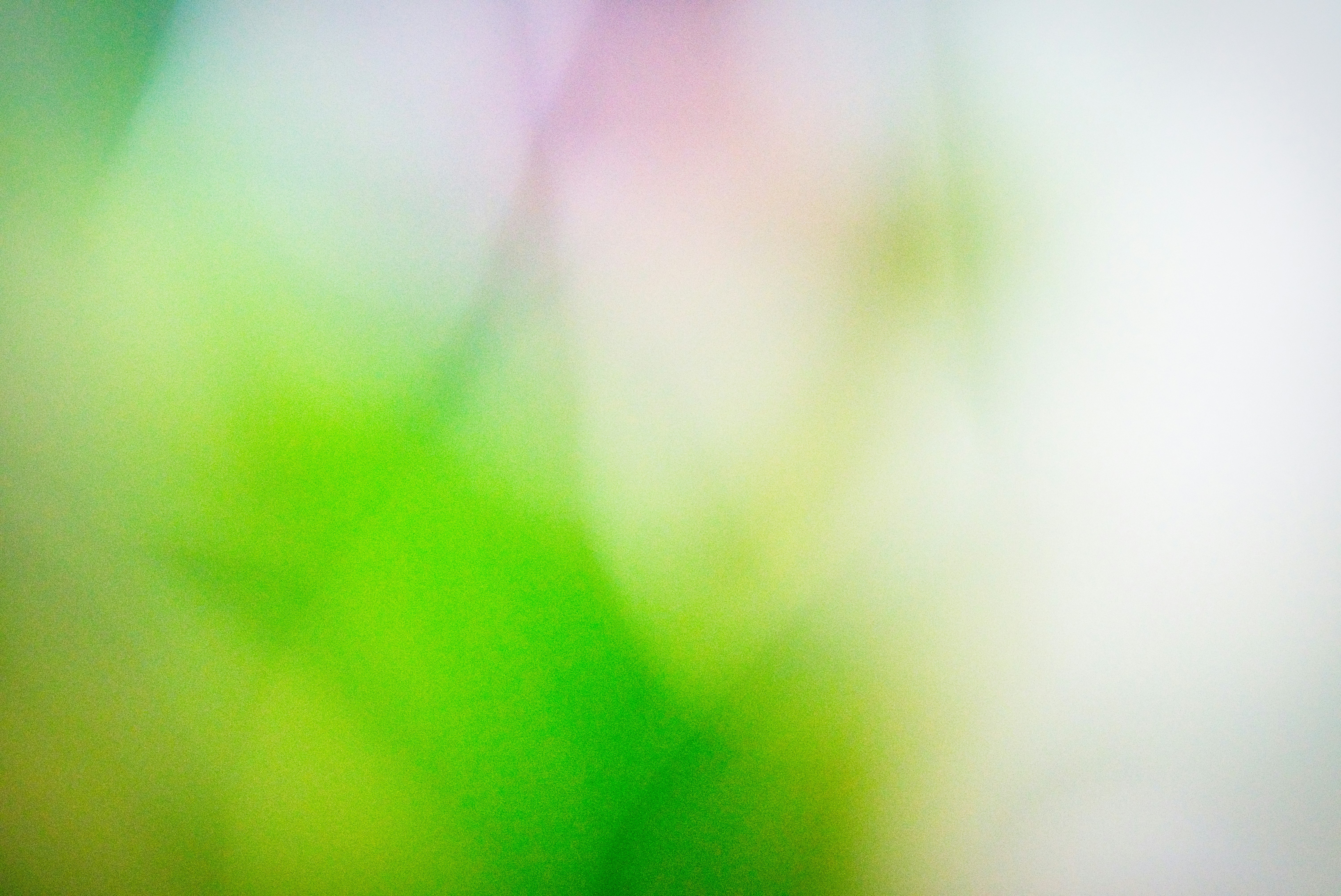 Photo by thomaskinto