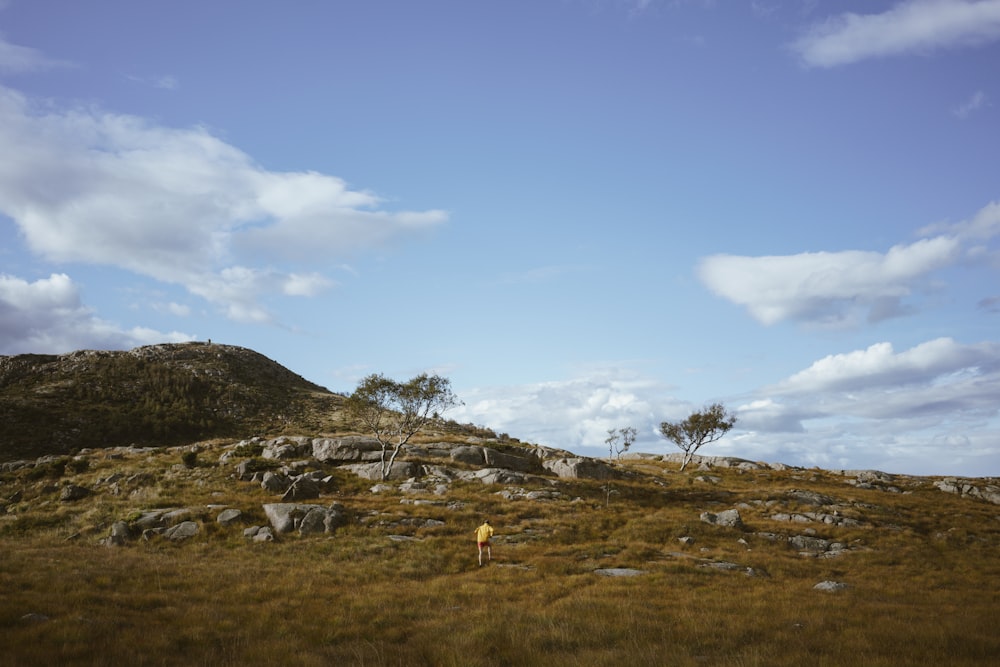 person walking on mountain during daytime