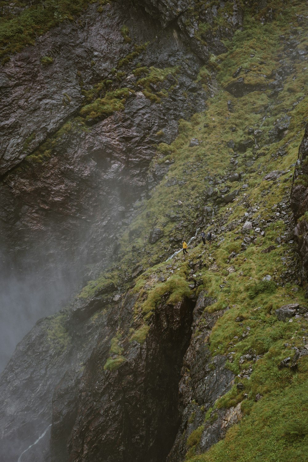 rock formation with moss