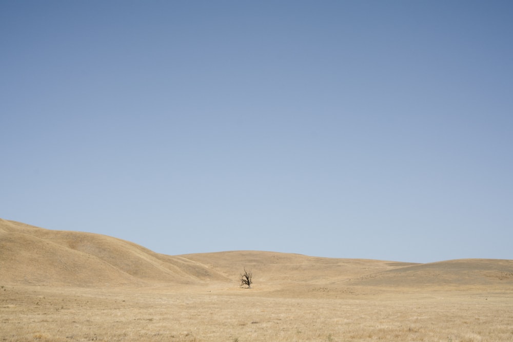 sand dune under blue sky