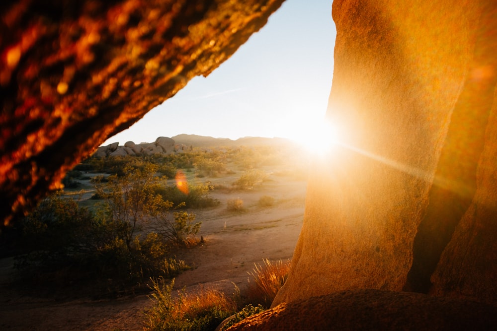 brown rock formation during golden hour