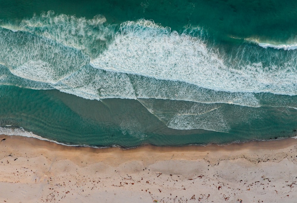 mer et rivage pendant la journée