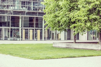 An inviting view of the university's modern library with large glass windows reflecting the surrounding greenery.
