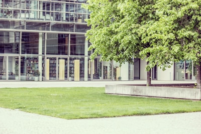 An inviting view of the university's modern library with large glass windows reflecting the surrounding greenery.