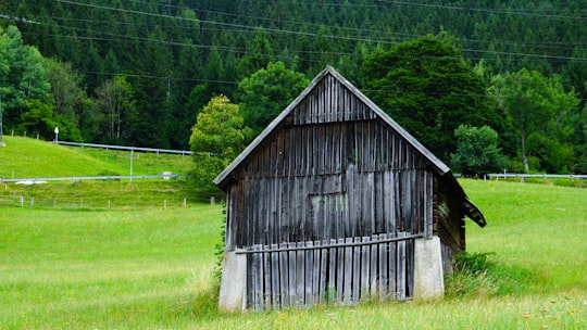 gray shack in field in Schladming Austria