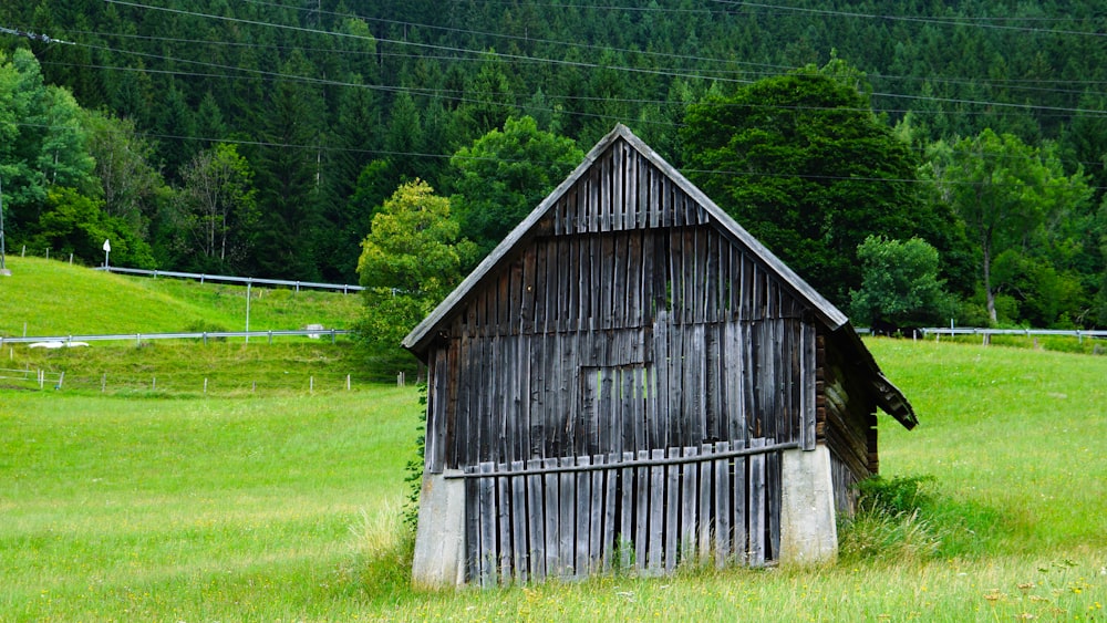gray shack in field
