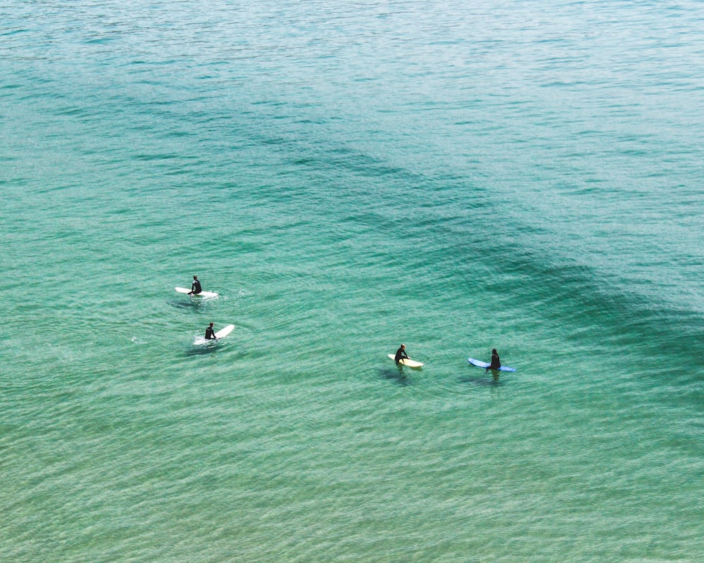 Quattro persone a cavallo su tavole da surf