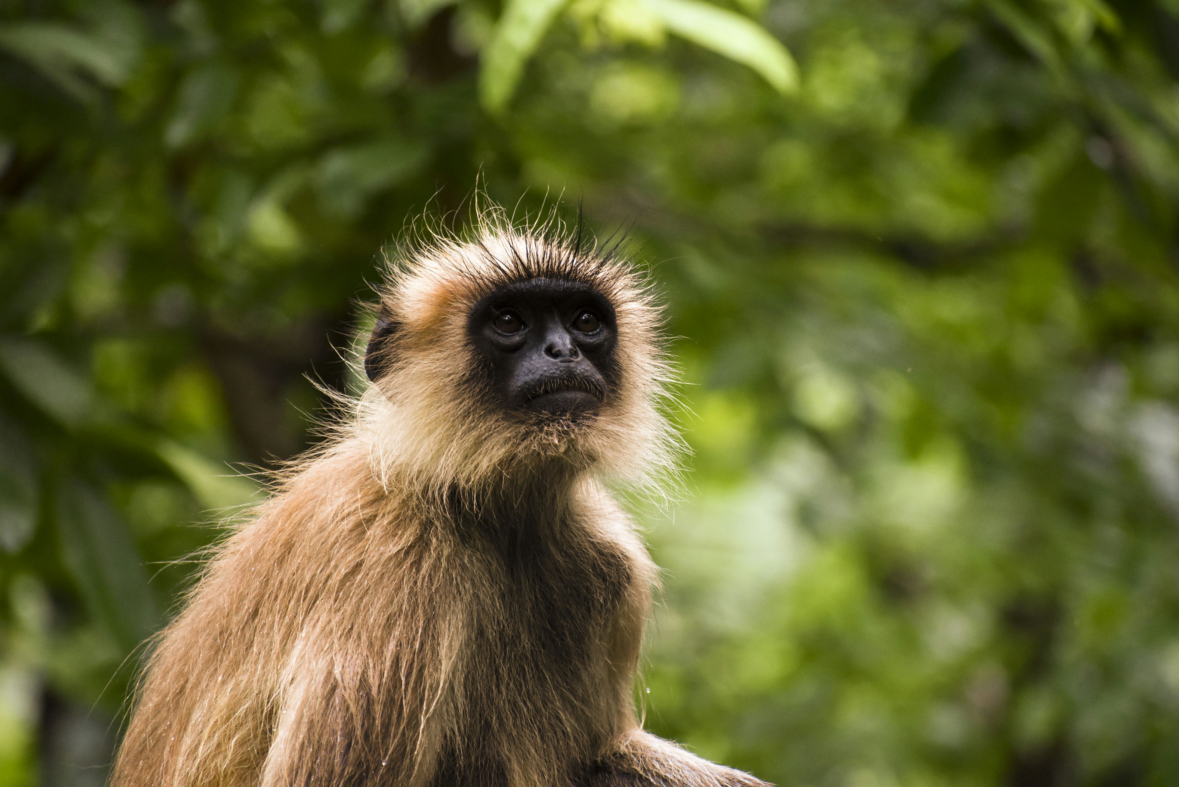 Photo by vandanpatel_