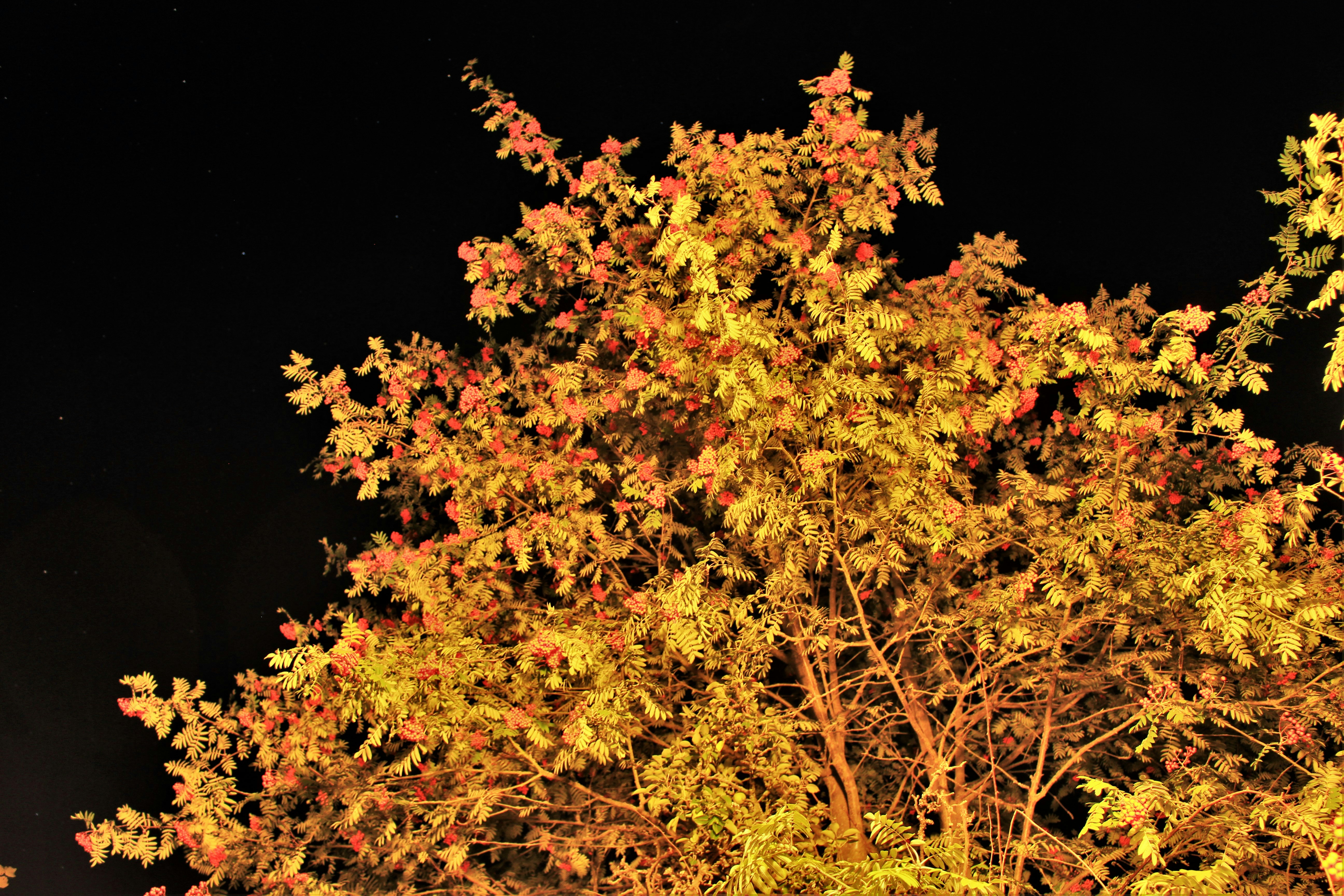 Photo by marjorylucabaxter