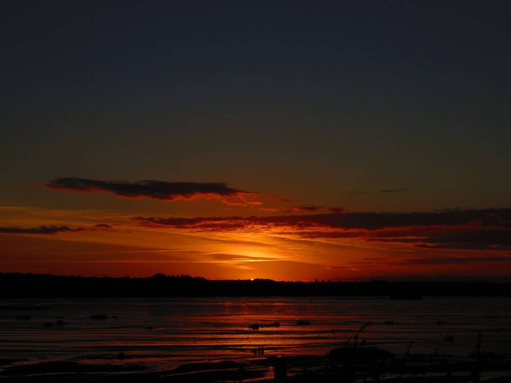 silhouette photo of trees and body of water during golden hour