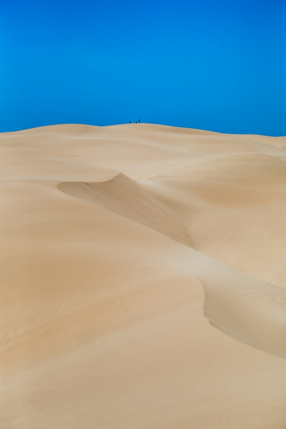 Wüstenfeld unter strahlend blauem Himmel