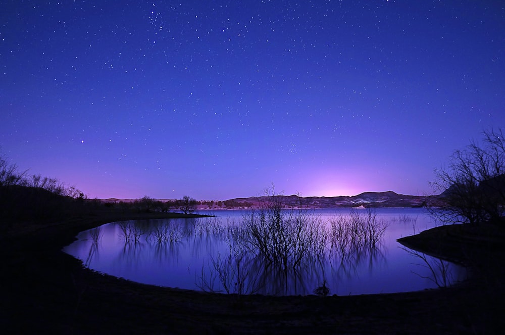 body of water surrounded with trees and land