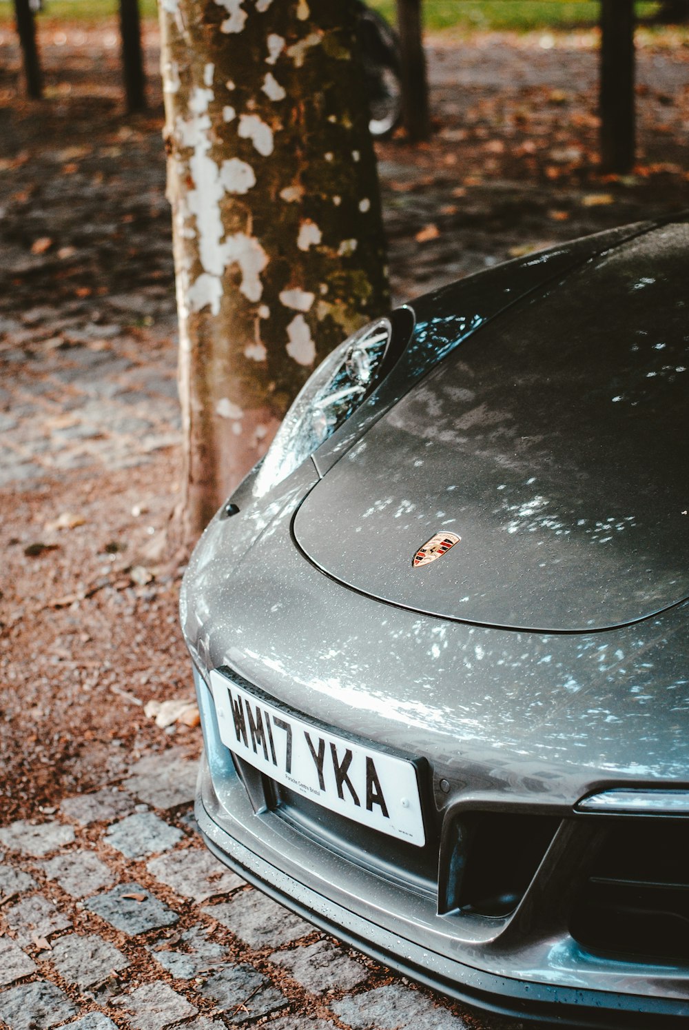 Porsche car under the tree