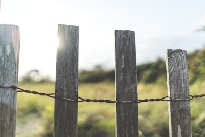 Close-up of hands installing fence posts on a sunny day.