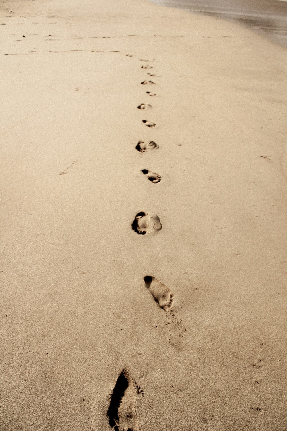 모래 속의 발자국 사진