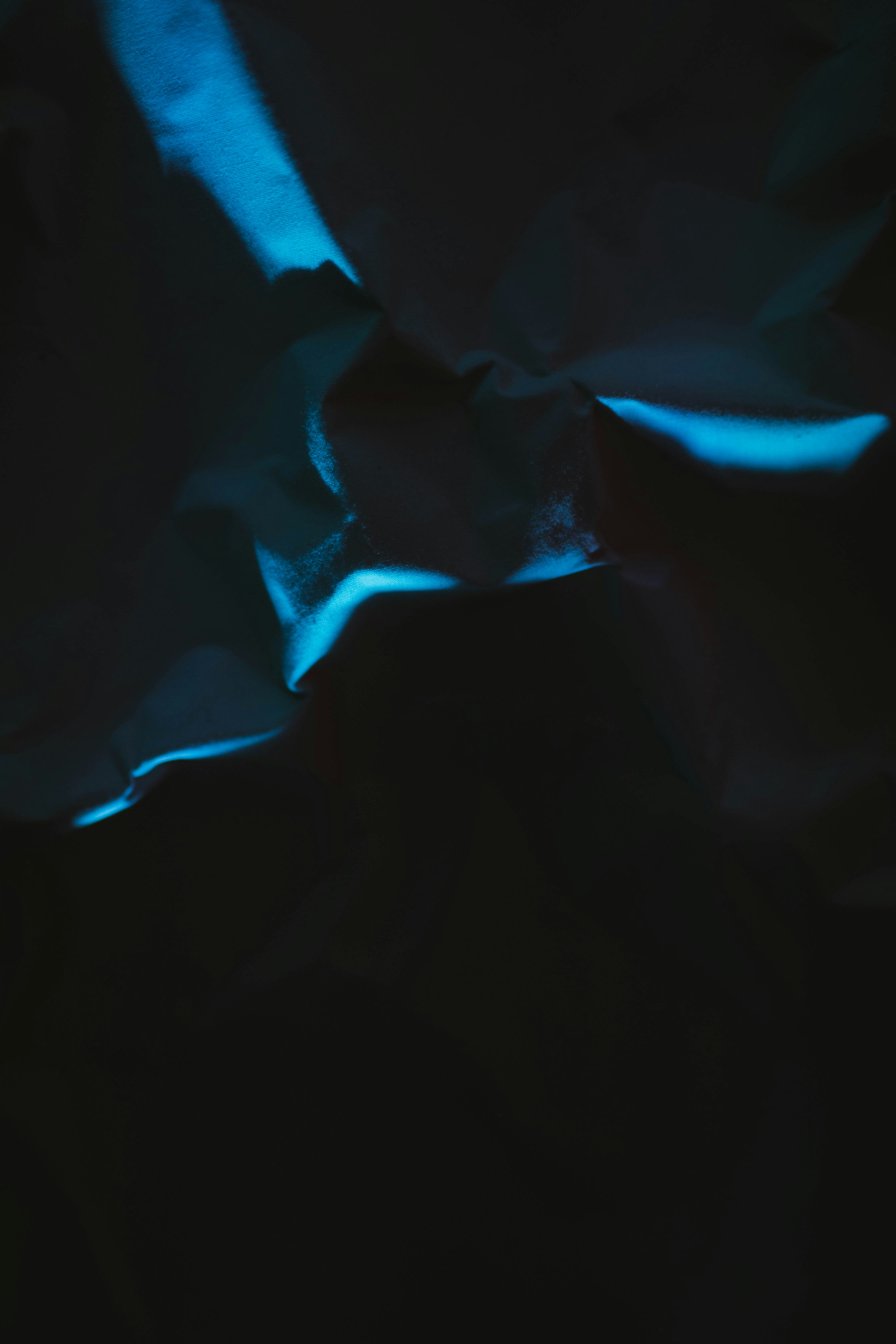 Photo by studiostarling