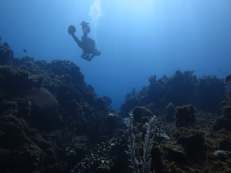 A diver gracefully exploring vibrant coral reefs beneath the crystal-clear Indonesian waters.