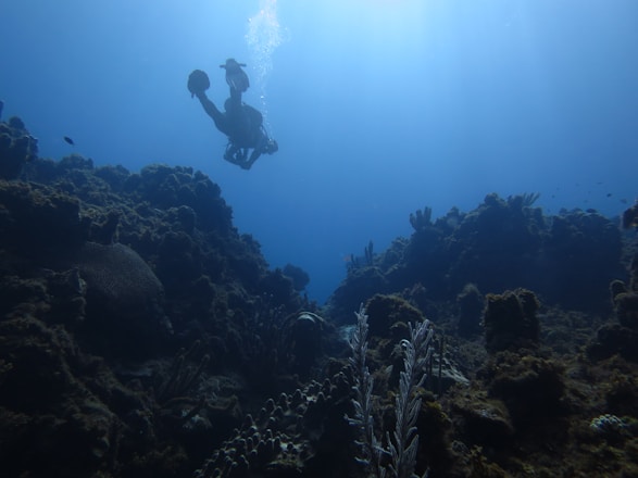 A diver gracefully exploring vibrant coral reefs beneath the crystal-clear Indonesian waters.
