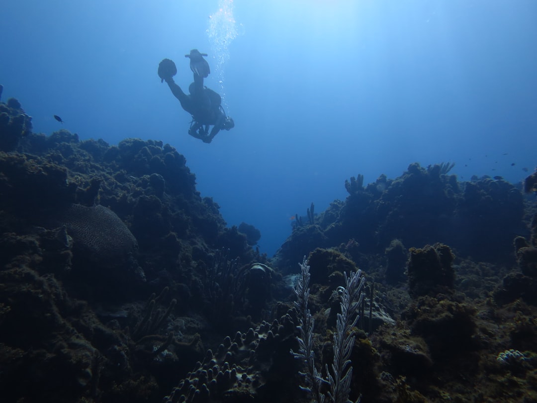 travelers stories about Underwater diving in Drapers, Jamaica