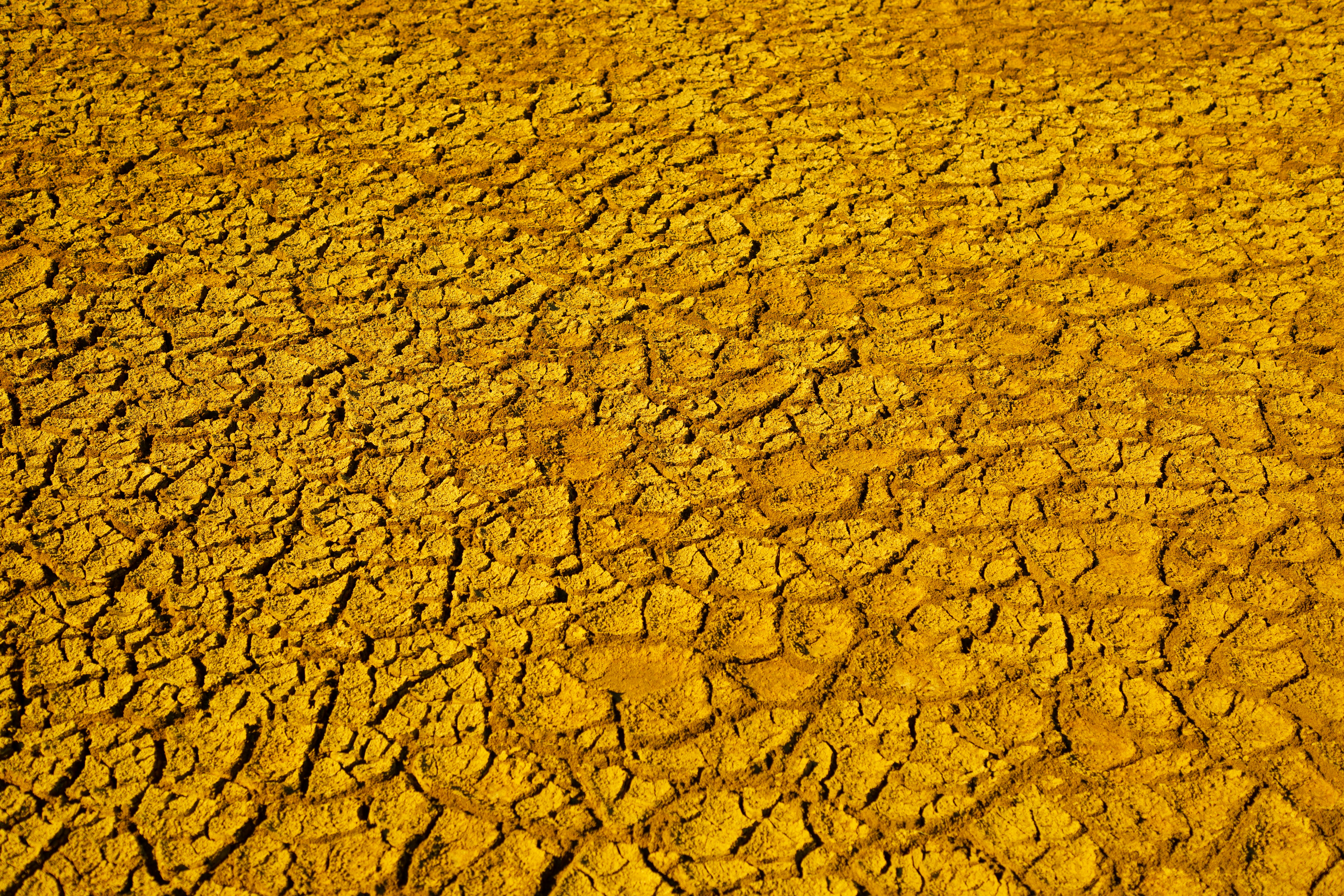 Guaymas, Mexico - GRIETAS