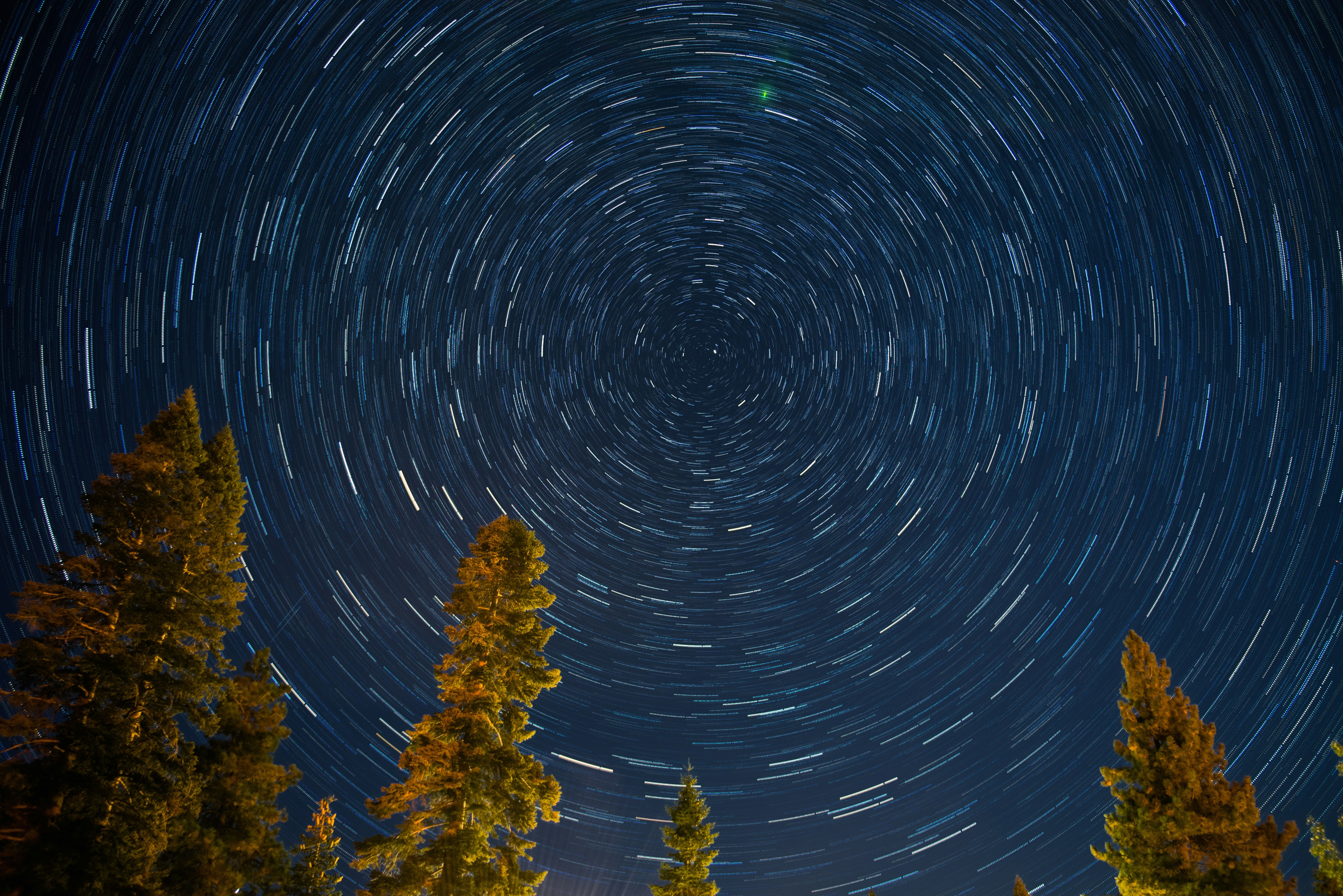 green-leafed trees under spiral stars