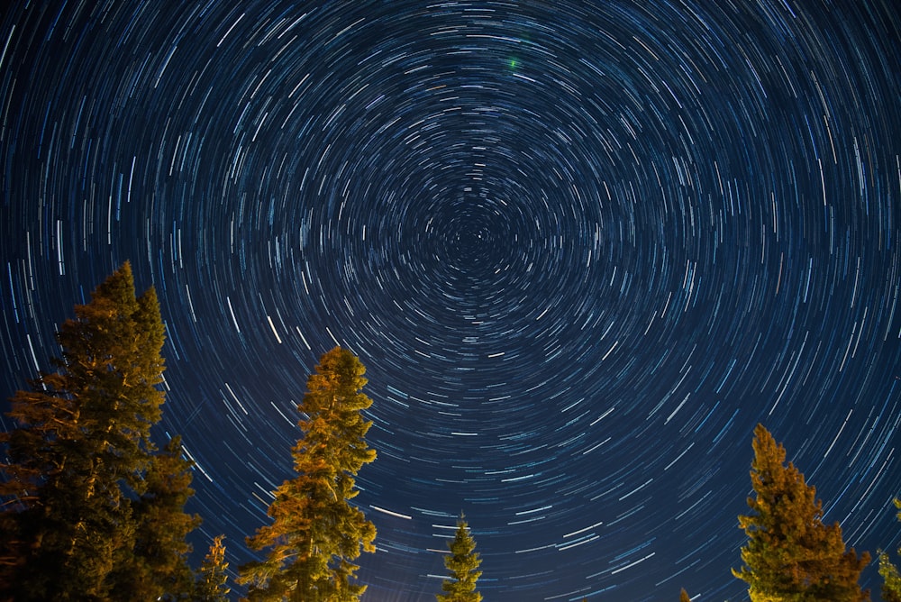 green-leafed trees under spiral stars