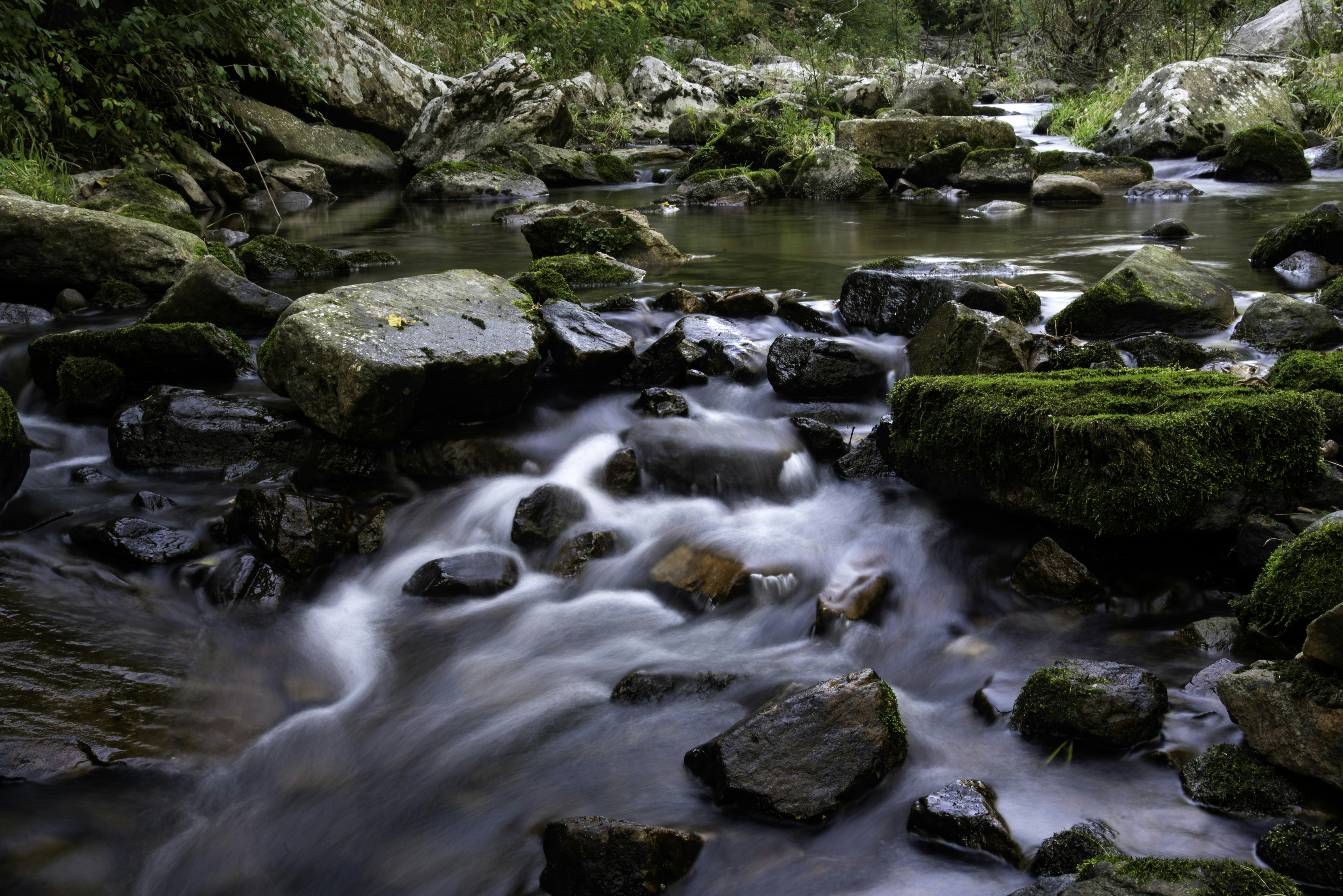 Photo by goodfreephoto_com