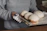 A smiling baker holding a tray of freshly baked bread in a cozy kitchen.