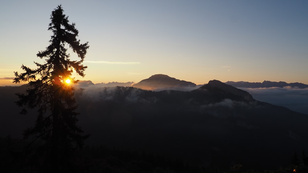 silhouette del mare di nuvole nella carta da parati della montagna