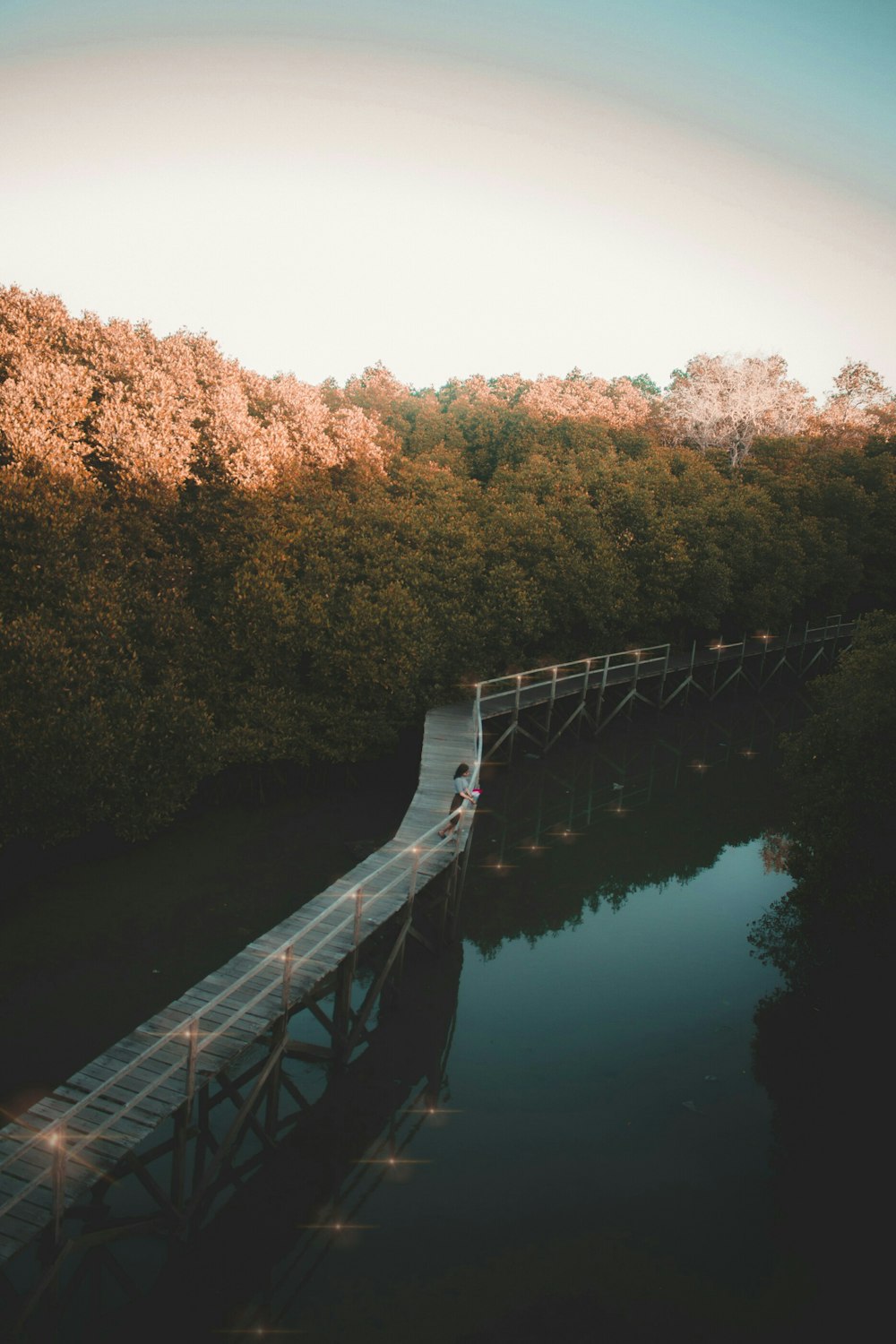 braune Holzbrücke tagsüber