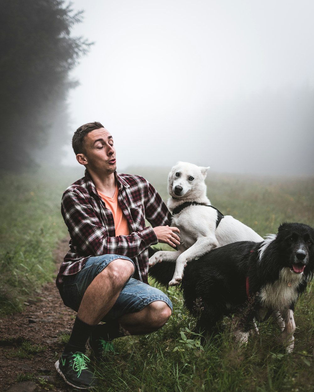 man petting white and black dogs