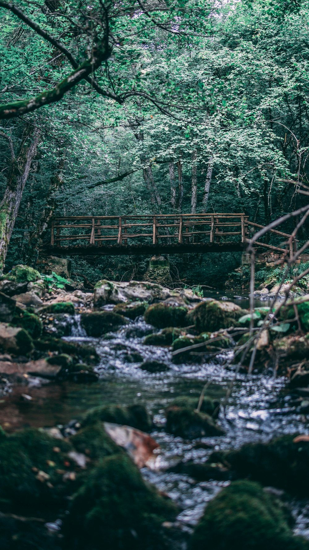 brown and black wooden bridge