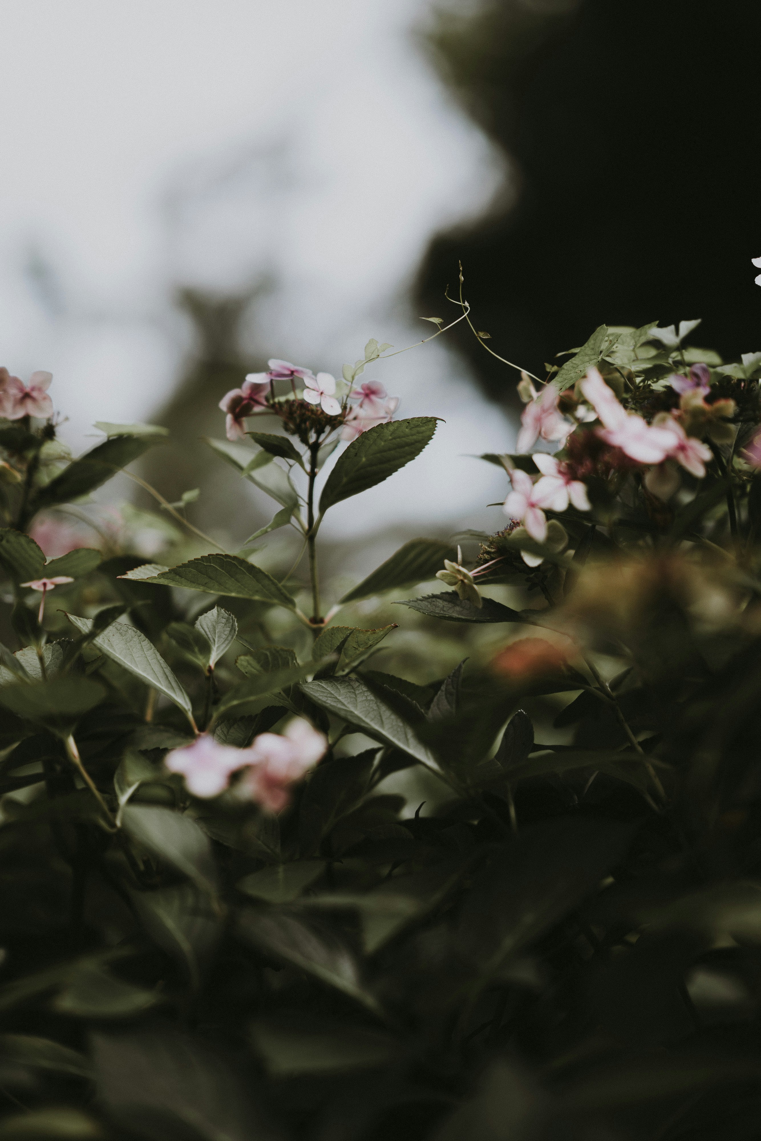 Photo by anniespratt