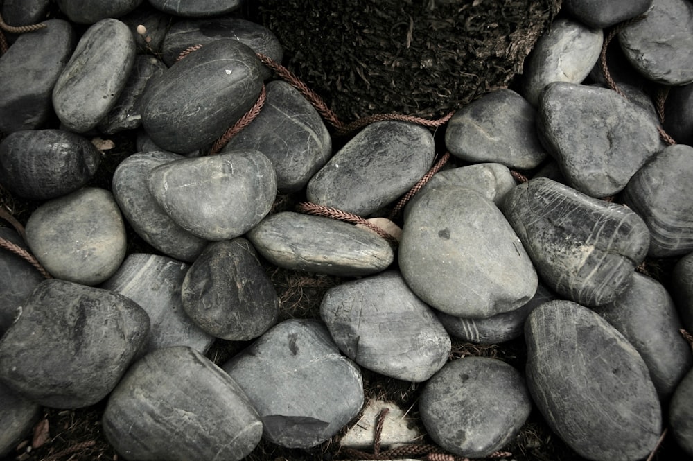 grayscale photography of pebbles